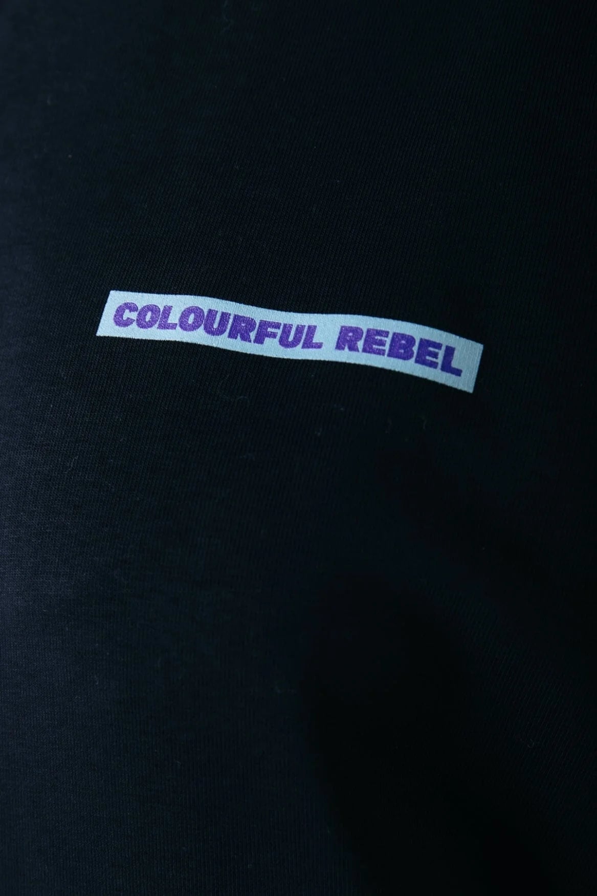 Colourful Rebel | Faded Flower Sweat - Black (WS416198)