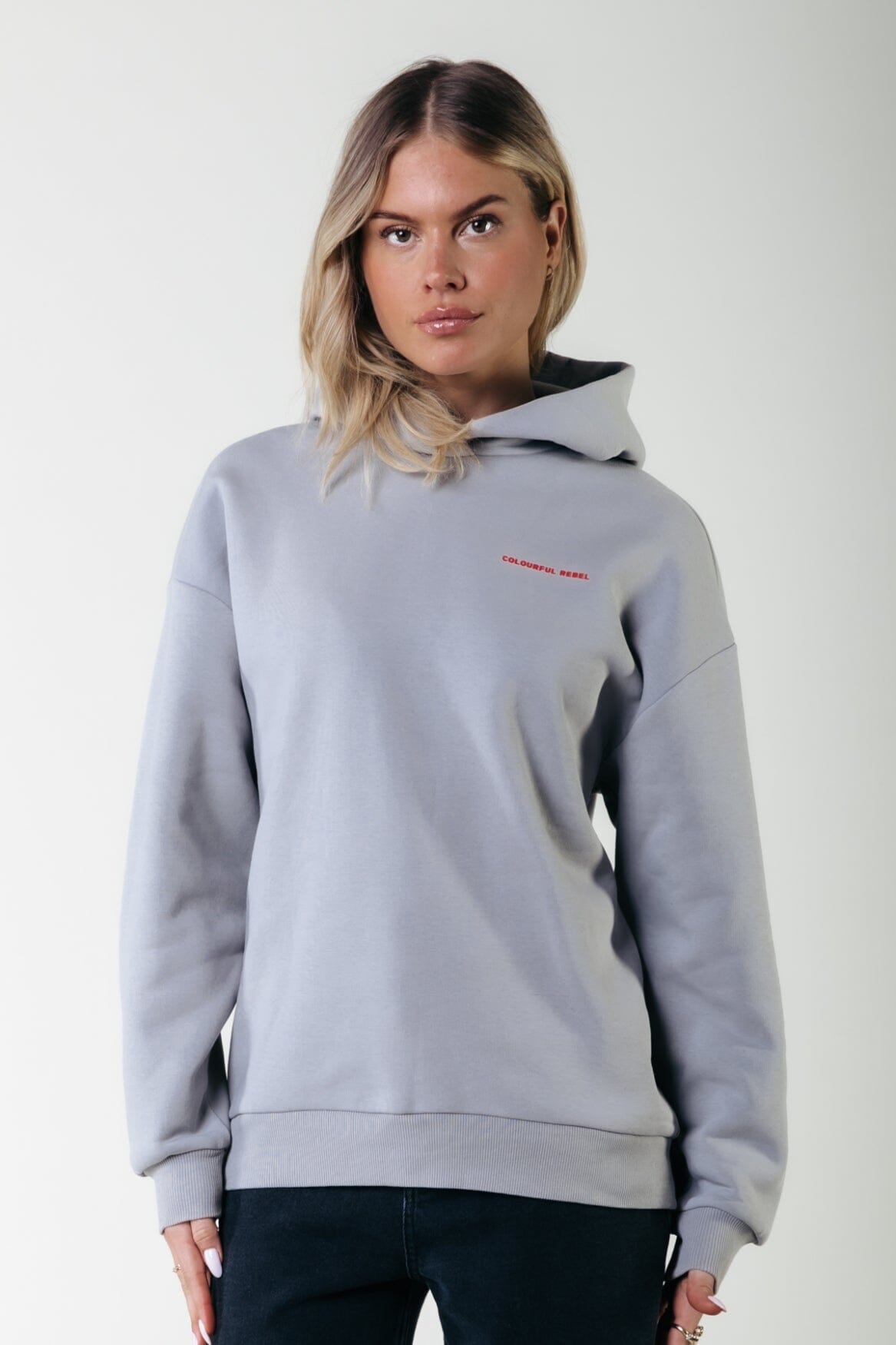 Colourful Rebel | World Tour Clean Hoodie - Light grey (WH116204)